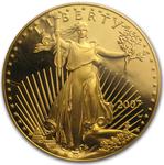 United States / Gold Ounce 2007 American Eagle / Proof - obverse photo