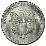 dSilver Ounce 1987 American Eagle: Photo Coin, United States, Silver Ounce 1987 American Eagle / thumbnail