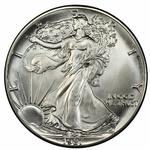 dSilver Ounce 1987 American Eagle: Photo Coin, United States, Silver Ounce 1987 American Eagle / thumbnail