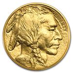 Gold Ounce 2021 American Buffalo: Photo Coin, United States, Gold Ounce 2021 American Buffalo / thumbnail