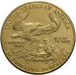 Gold Half Ounce 1987 American Eagle: Photo 1987 1/2oz American Eagle Gold Coin MCMLXXXVII / thumbnail