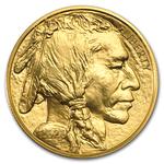Gold Ounce 2020 American Buffalo: Photo Coin, United States, Gold Ounce 2020 American Buffalo / thumbnail