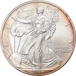 Silver Ounce 2007 American Eagle: Photo Coin, United States, Silver Eagle Dollar - 2006 - 1 Oz Silver / thumbnail