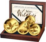 World's Wildlife - The Peregrine Falcon: Photo World's Wildlife (6.) - Peregrine - Set 4 Coins - 1,85 Oz Gold - Proof
