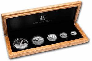 Mexico / Libertad Serie Plata / Acabado Espejo / 2023 (Libertad Silver Series - Proof, 5 Coins) - photo