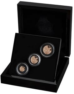 Saint Helena / 80th Anniversary of VE Day Sovereign Gold Proof Three Coin Set - photo