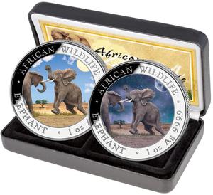 Somalia / Elephant Day and Night, 2024 - photo