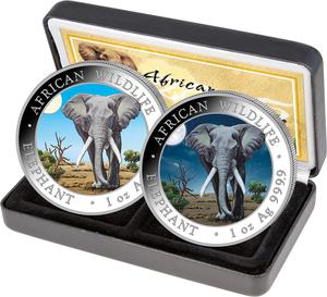 Somalia / Elephant Day and Night, 2025 - photo
