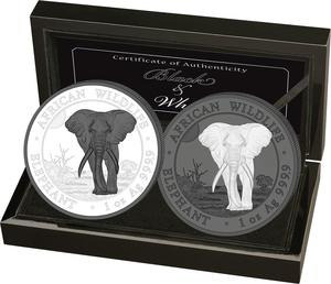 Somalia / Elephant Black and White, 2025 - photo