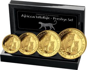 Somalia / African Wildlife - Prestige Set 2024, Leopard - photo