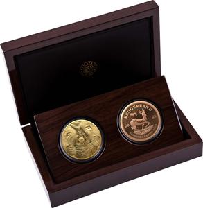 South Africa / Big 5 Lion and Krugerrand Proof Set - Gold, 2025 - photo